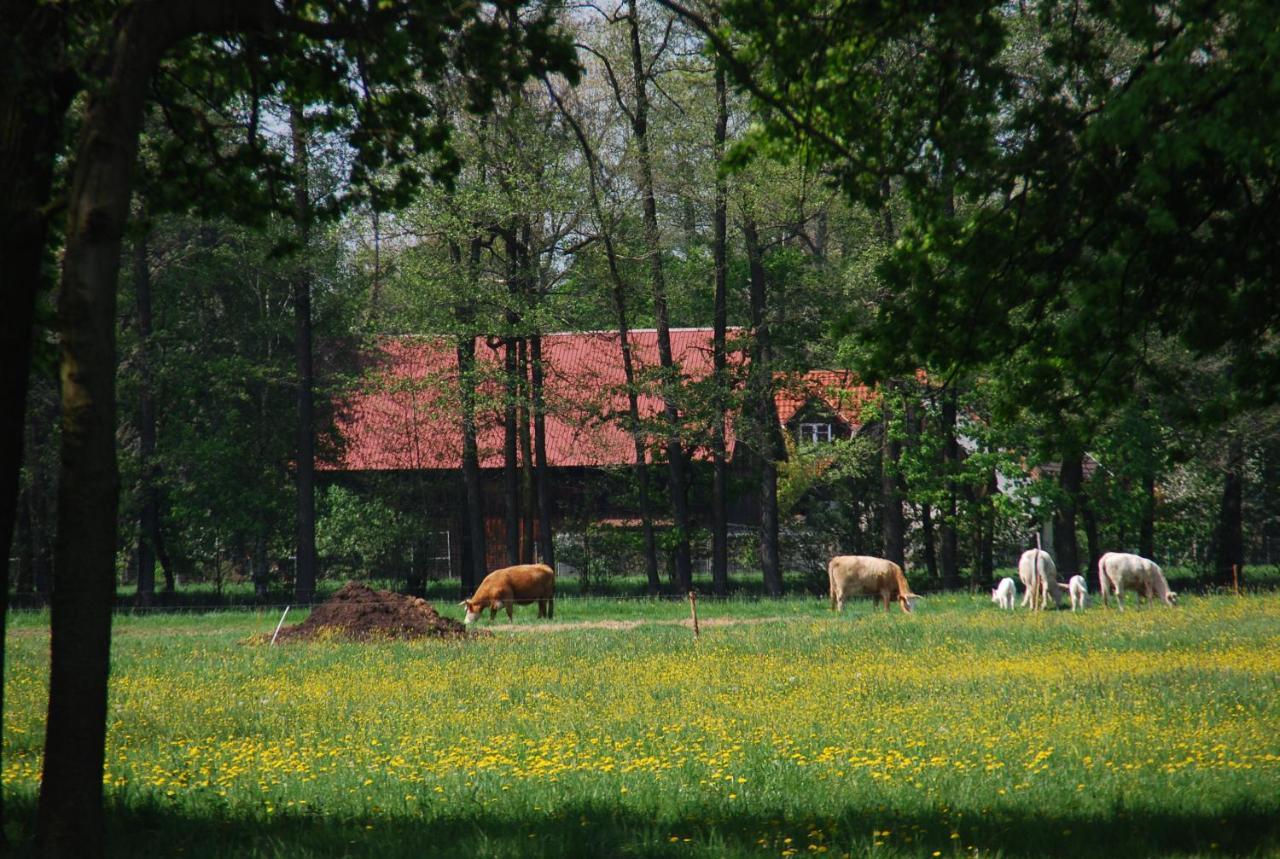 Ferienwohnung Lehmann, Ursel Burg Kauper ภายนอก รูปภาพ